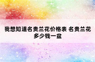 我想知道名贵兰花价格表 名贵兰花多少钱一盆